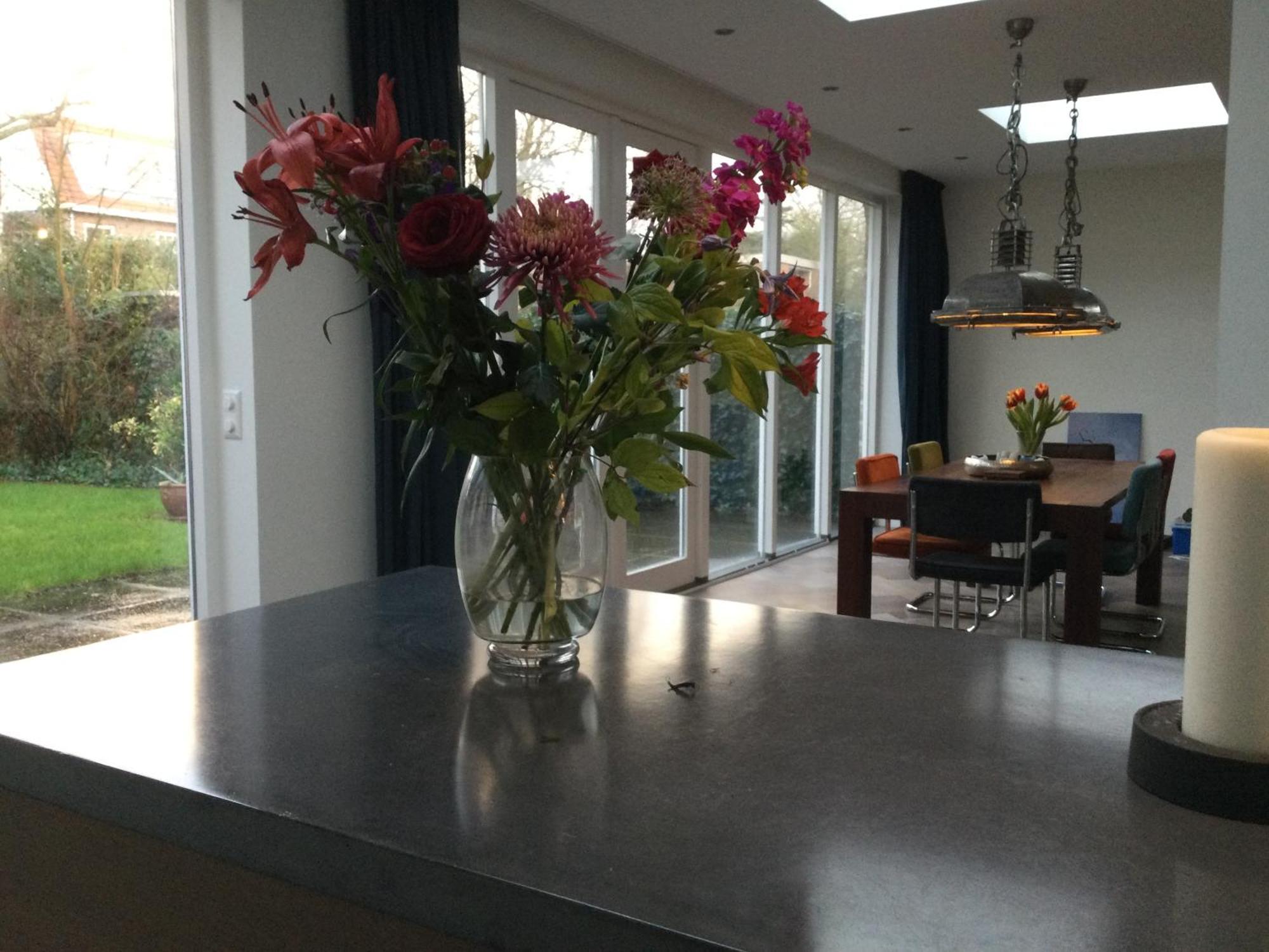 Villa Cosy Central Incl Jacuzzi Near Trainstation, Beach And City Heemstede Exteriör bild